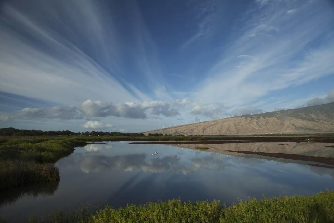 Kealia Pond National Wildlife Refuge