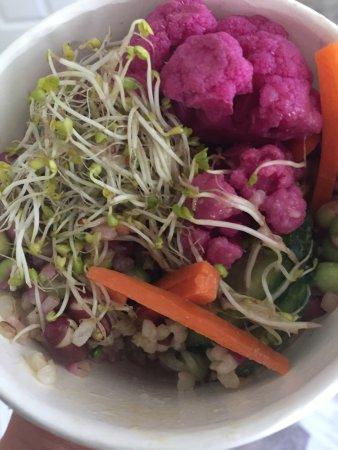 New Moon Foods