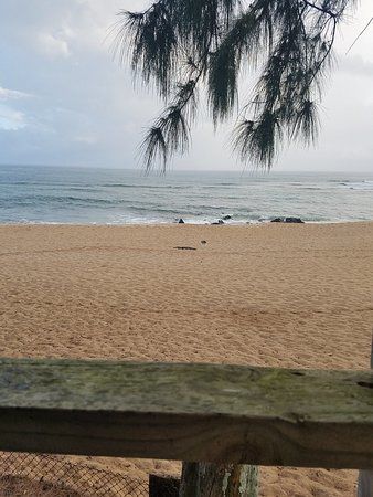Chun's Reef Beach