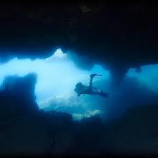 Sharks Cove