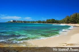 Turtle Bay