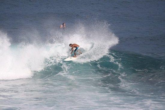 FBI Surf School