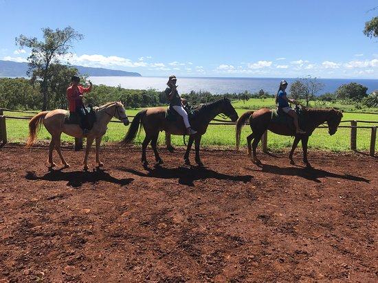 Happy Trails Hawaii