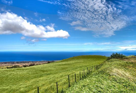 Kohala Mountain Road