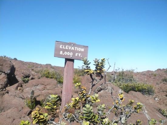 Mauna Loa
