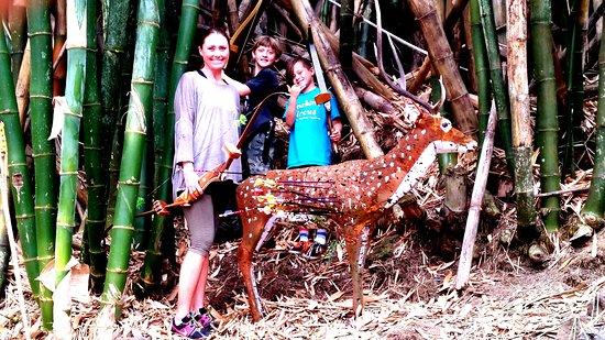 Archery Adventures Hawaii