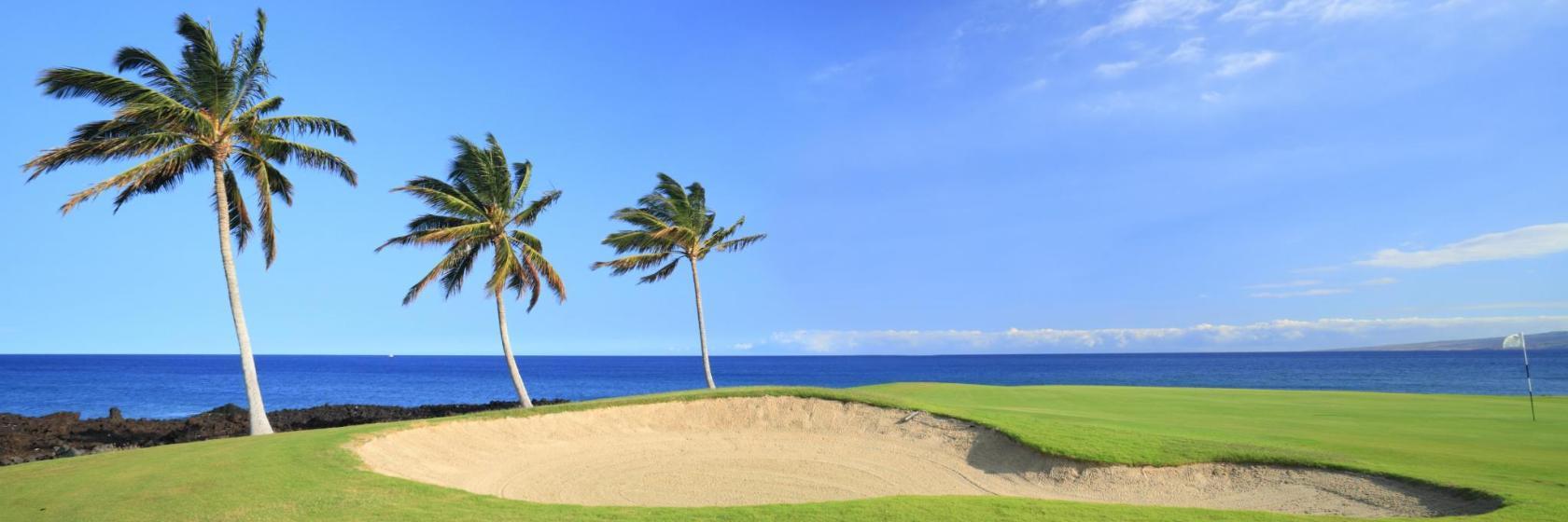 Wailea Golf Club