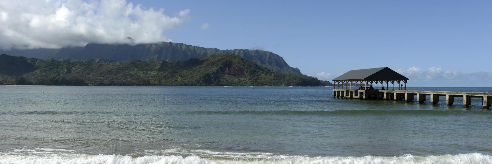 Hanalei Beach Boys